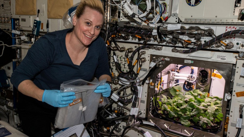 Un astronaut NASA a cultivat prima recoltă de ridichi din Spațiu